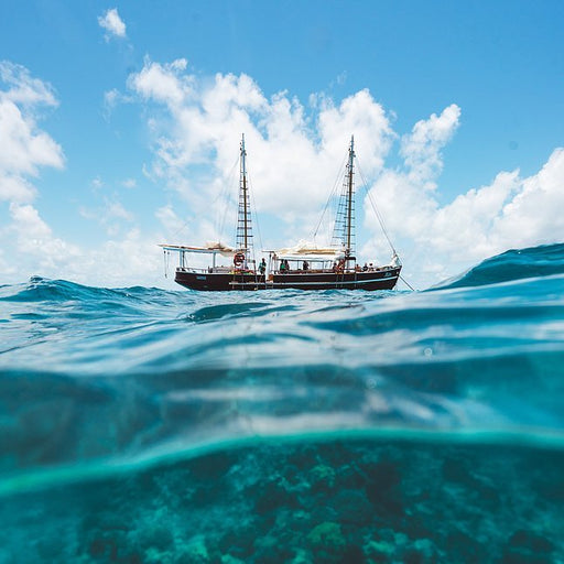 Great Barrier Reef Trip - We Wander