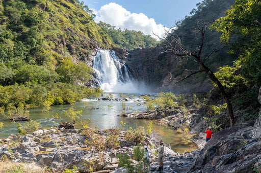 Half Day 4Wd Daintree Tour - We Wander