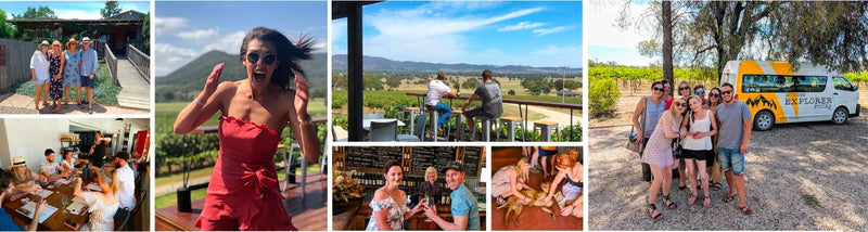 Half - Day Mudgee Wine Tours - We Wander