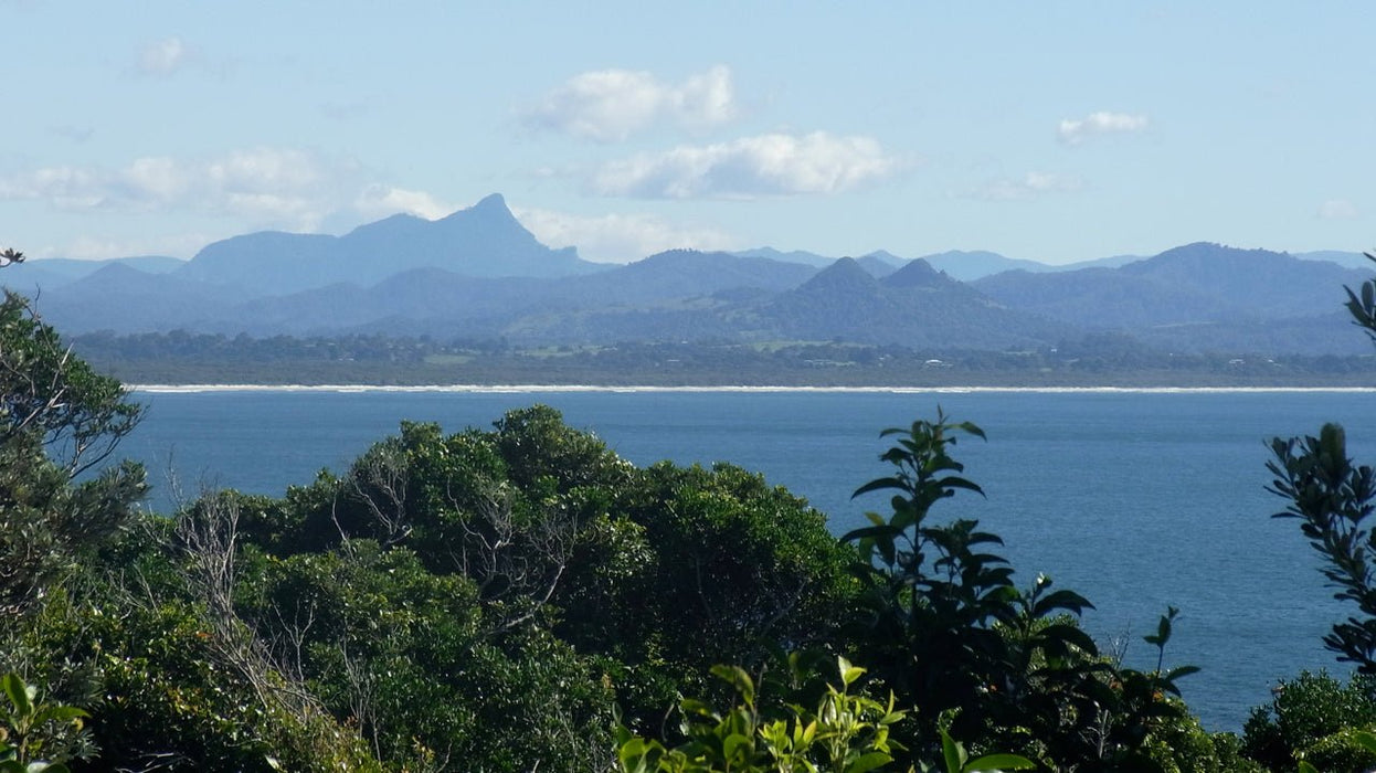 Half Day Out Byron Bay Tour - We Wander