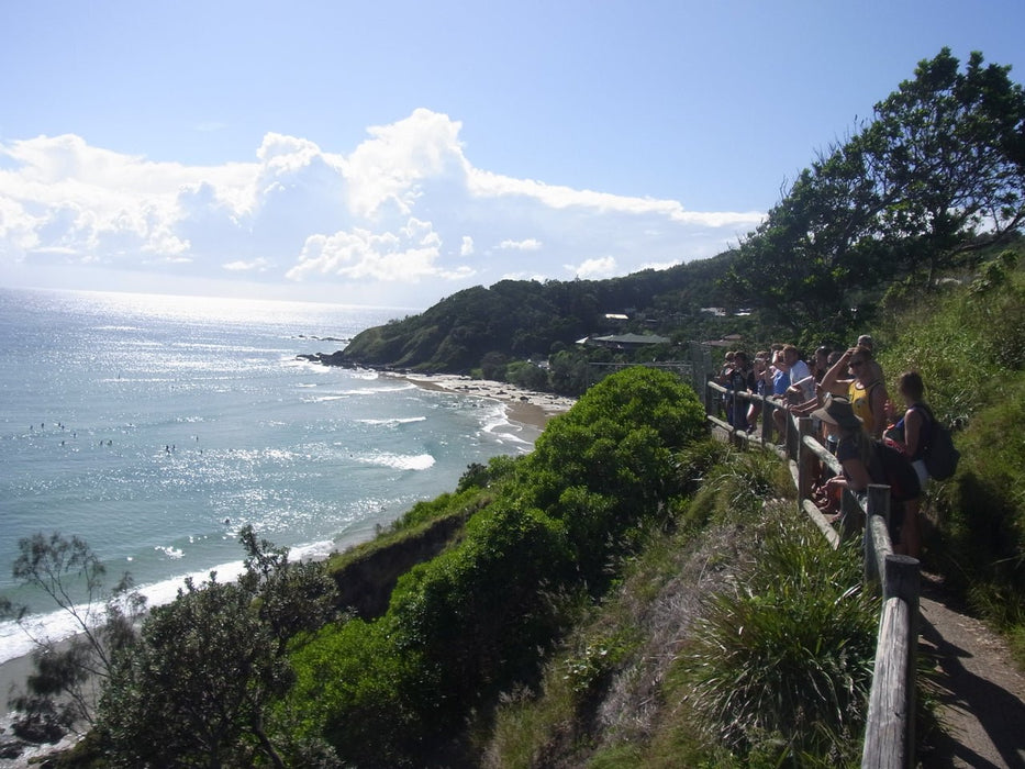 Half Day Out Byron Bay Tour - We Wander