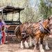 Harvest The Hunter Wine And Produce Tour - We Wander