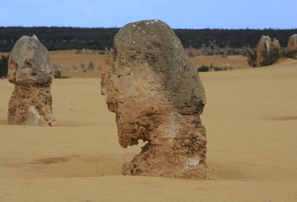 Pinnacles, Yanchep National Park & Lancelin