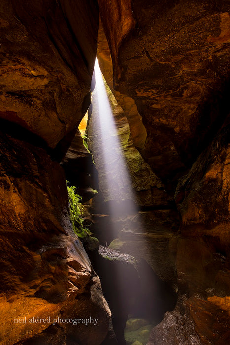 Beautiful Juggler Canyon Abseiling And Canyoning Adventure - Blue Mountains