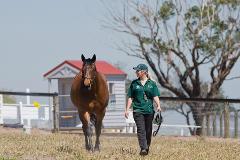 Horses, Wine & Beer Tour - We Wander