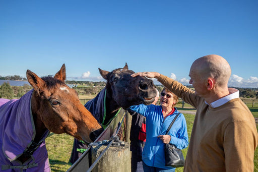 Horses, Wine & Beer Tour - We Wander