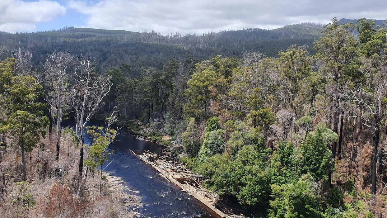 Huon Valley Day Tour - We Wander