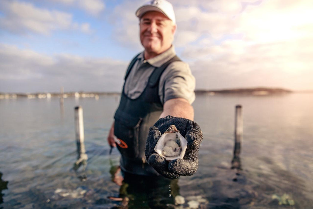 Coffin Bay - Oyster, Off-Road Sightseeing 4Wd Full-Day Tour