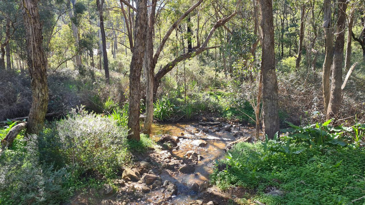 Jarrahdale Hike, Wine & Dine Experience - We Wander