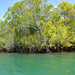 Johnstone River Croc & Wildlife Tour - We Wander