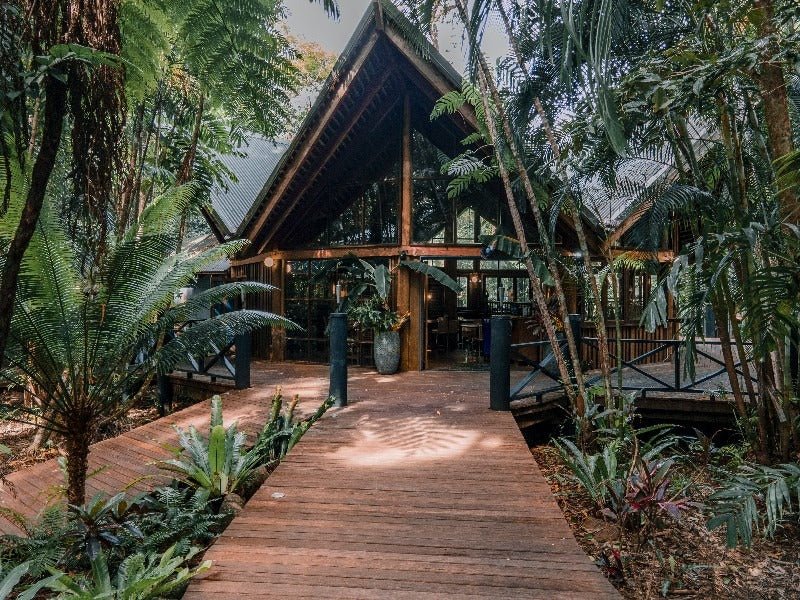 Jungle Stopver At Ferntree Rainforest Lodge - We Wander