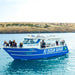 Kangaroo Island Ocean Safari - 2 Hour Swim With Dolphin, Seal & Coastal Snorkelling - We Wander