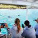 Kangaroo Island Ocean Safari - 75 Minute Safari - We Wander