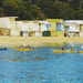 Kayak The Dolphin Sanctuary - We Wander