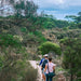 Koala Walking Tour - We Wander