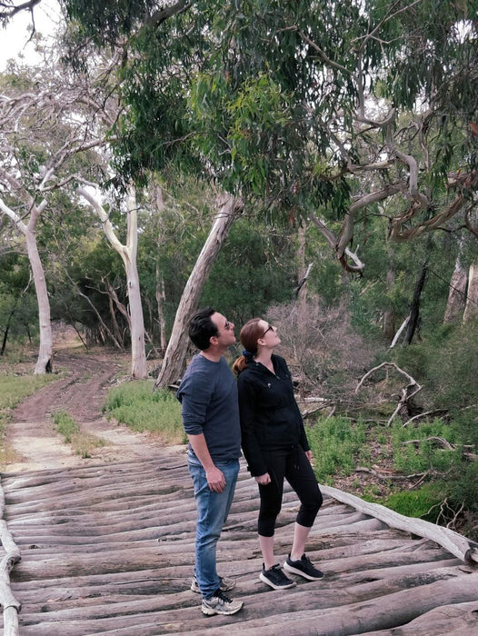 Koala Walking Tour - We Wander