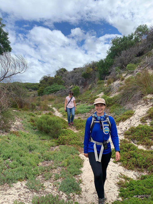 Koala Walking Tour - We Wander