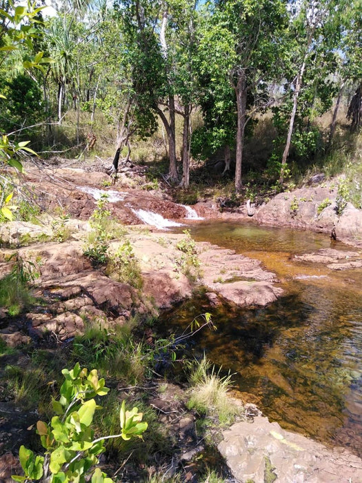 Litchfield Park Adventures + Berry Springs Natural Reserve - We Wander