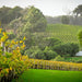 Luxury Estate Picnic At Brookland Valley & Houghton Wines - We Wander