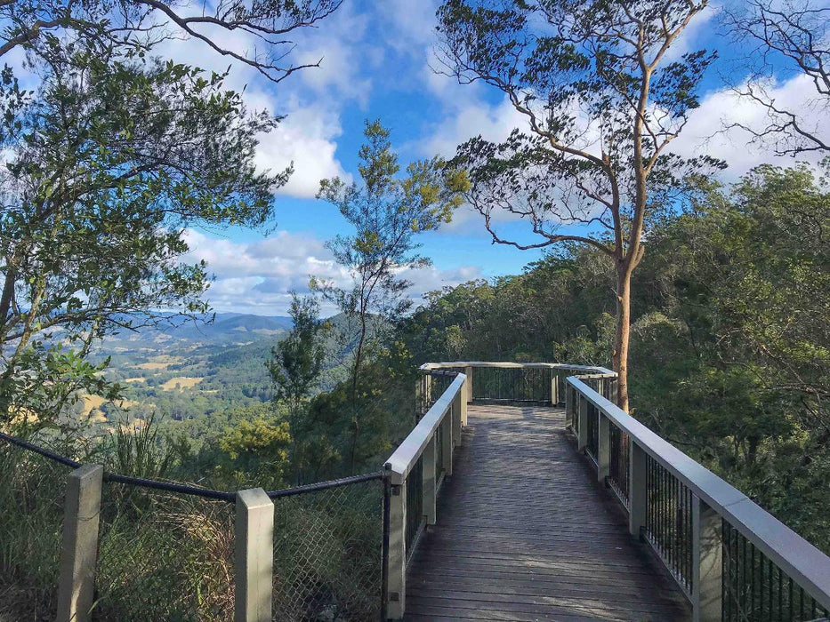 Maleny And Montville Tour With Artisan Village, Chocolate And Wine Tasting - We Wander