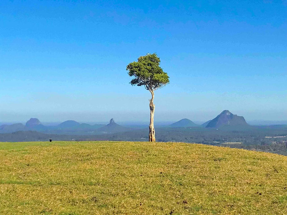 Maleny And Montville Tour With Artisan Village, Chocolate And Wine Tasting - We Wander