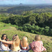 Maleny And Montville Tour With Artisan Village, Chocolate And Wine Tasting - We Wander