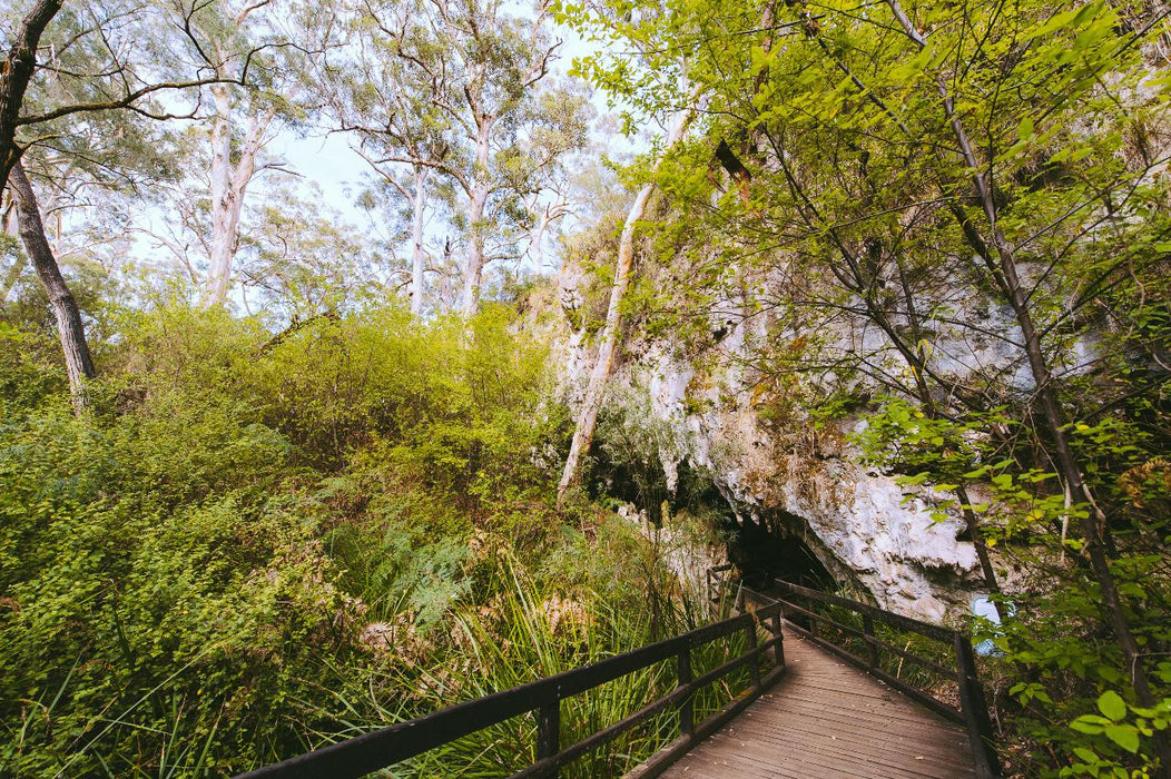 Mammoth Cave Self - Guided Audio Tour - We Wander