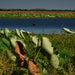 Mikinj Valley (Red Lily Arnhem Land Sightseeing Day Tour (Ex Jabiru) - We Wander