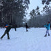 Mt Buller Snow Day Tour - We Wander