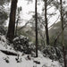 Mt Buller Snow Day Tour - We Wander