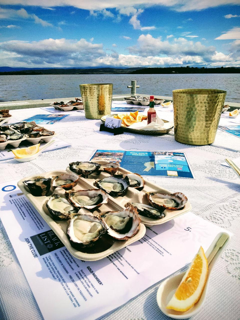 Oyster Farm Shuck And Chat - We Wander