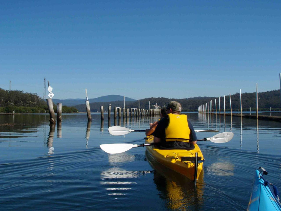 Oyster Tasting Kayak Tour - Batemans Bay - We Wander