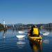 Oyster Tasting Kayak Tour - Batemans Bay - We Wander