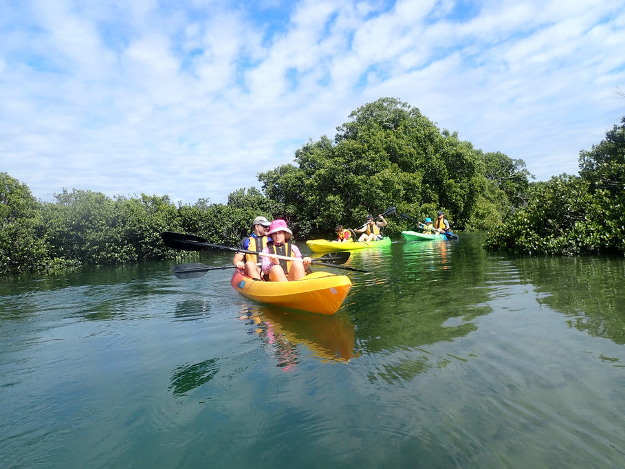 Glass Bottom Kayak Tour - Cullendulla Sanctuary