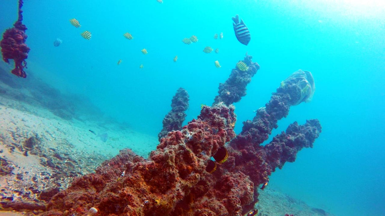 Padi Advanced Open Water Course - We Wander