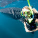 Padi Open Water Dive Course - Learn To Dive - We Wander