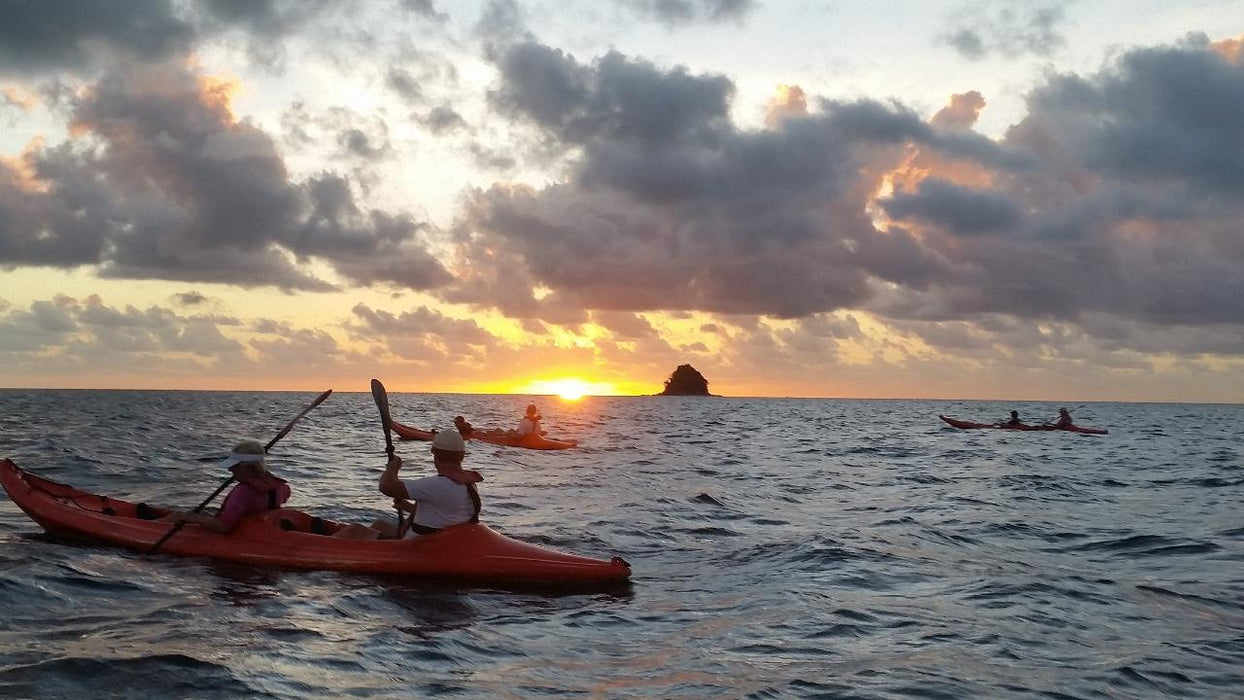 Palm Cove Double Island Kayak Turtle Tour - We Wander