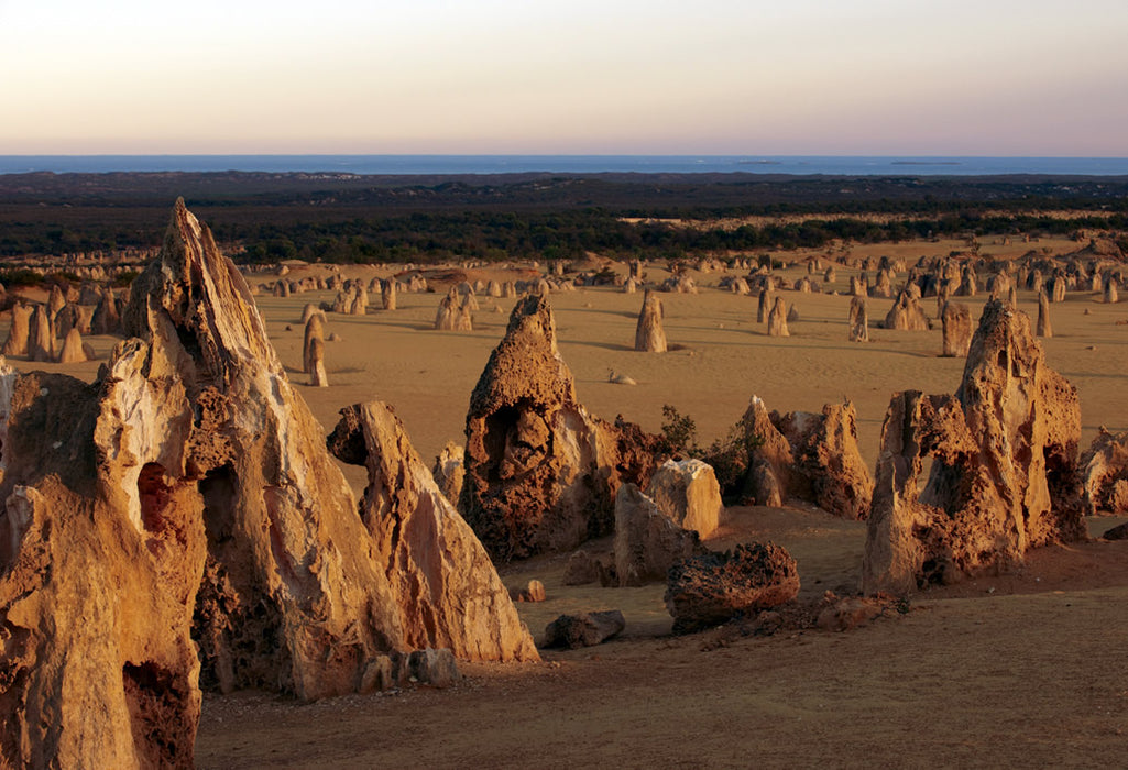 Pinnacles, Yanchep National Park & Lancelin