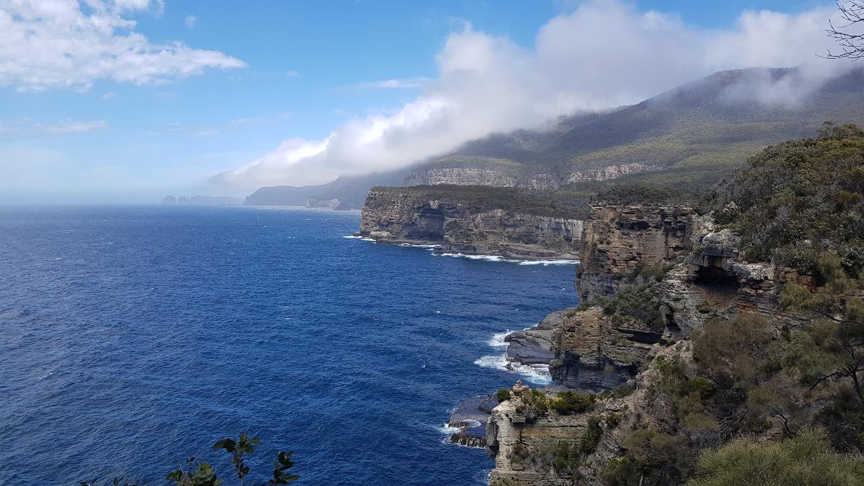 Port Arthur & Tasman Peninsula Day Tour - We Wander