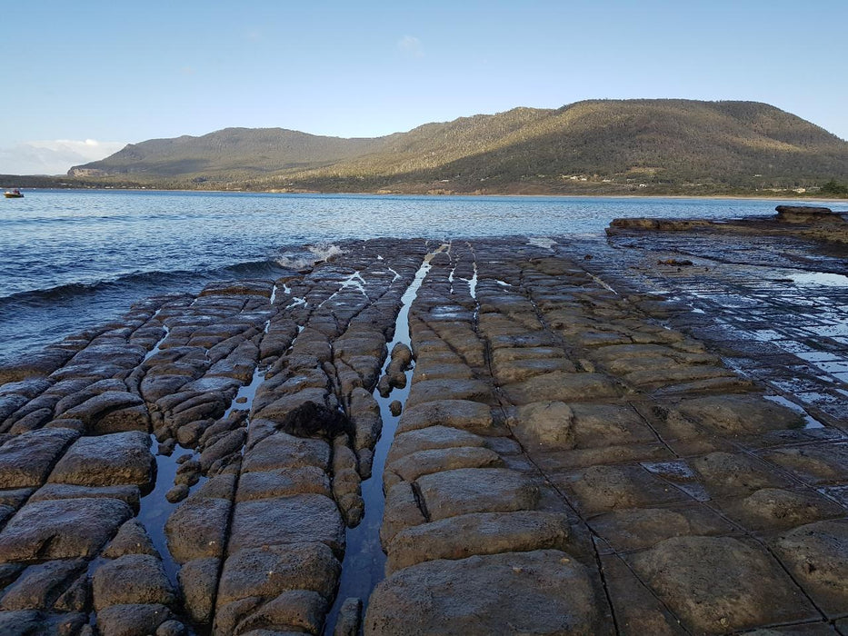 Port Arthur & Tasman Peninsula Day Tour - We Wander