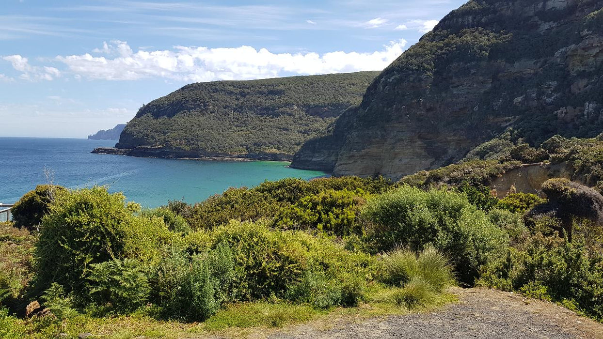 Port Arthur & Tasman Peninsula Day Tour - We Wander