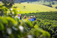 Private Cairns Tablelands Tasting Tour - We Wander