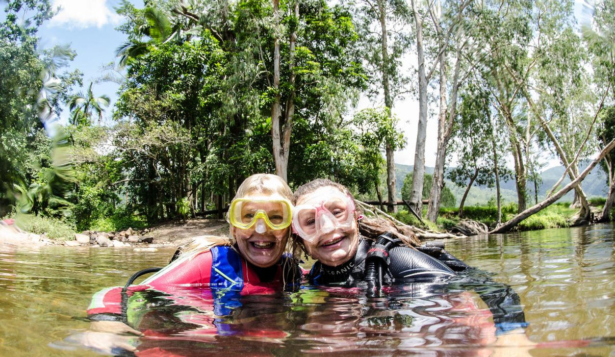 Rainforest Platypus Dive - We Wander