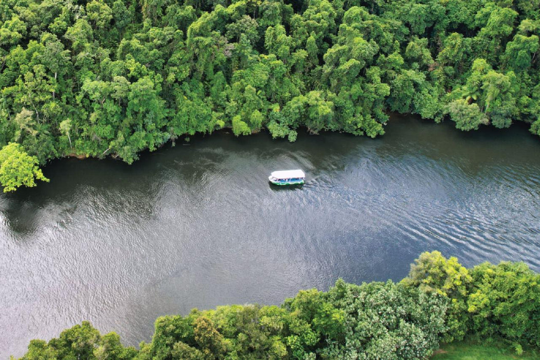 Crocodile Express Daintree River Cruise Daintree Village & Daintree Discovery Centre Unlimited Pass