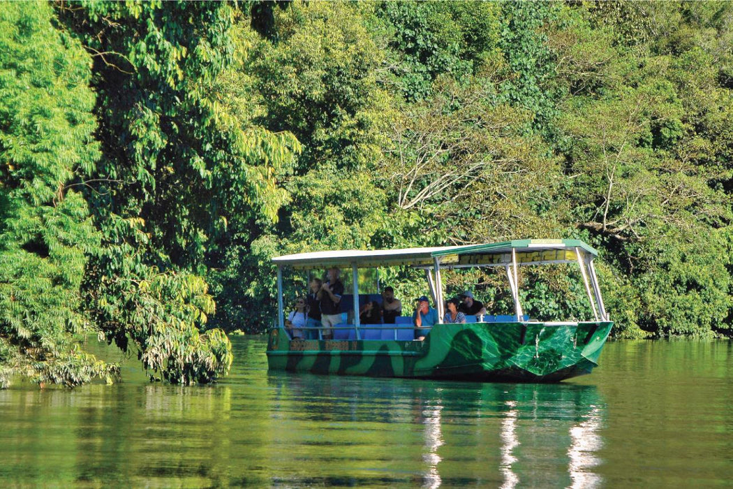 Crocodile Express Daintree River Cruise Daintree Village & Daintree Discovery Centre Unlimited Pass