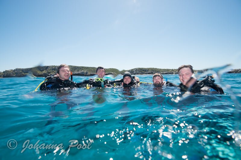 Rottnest Island (Wadjemup) Dive Or Snorkel - We Wander