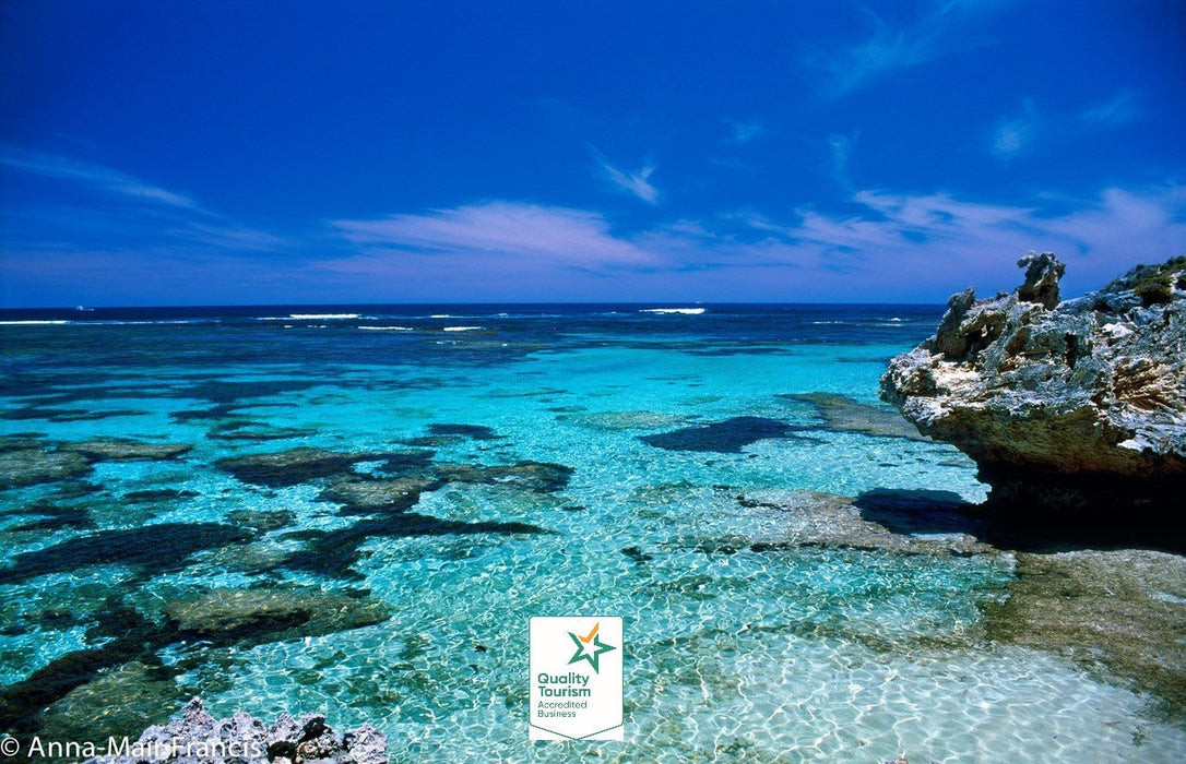 Rottnest Photographic Day Tour Without Ferry - We Wander