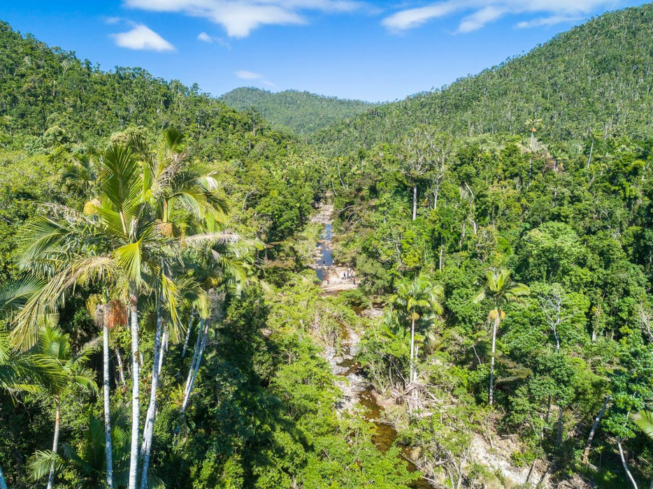 Segway Rainforest Discovery Tour - We Wander