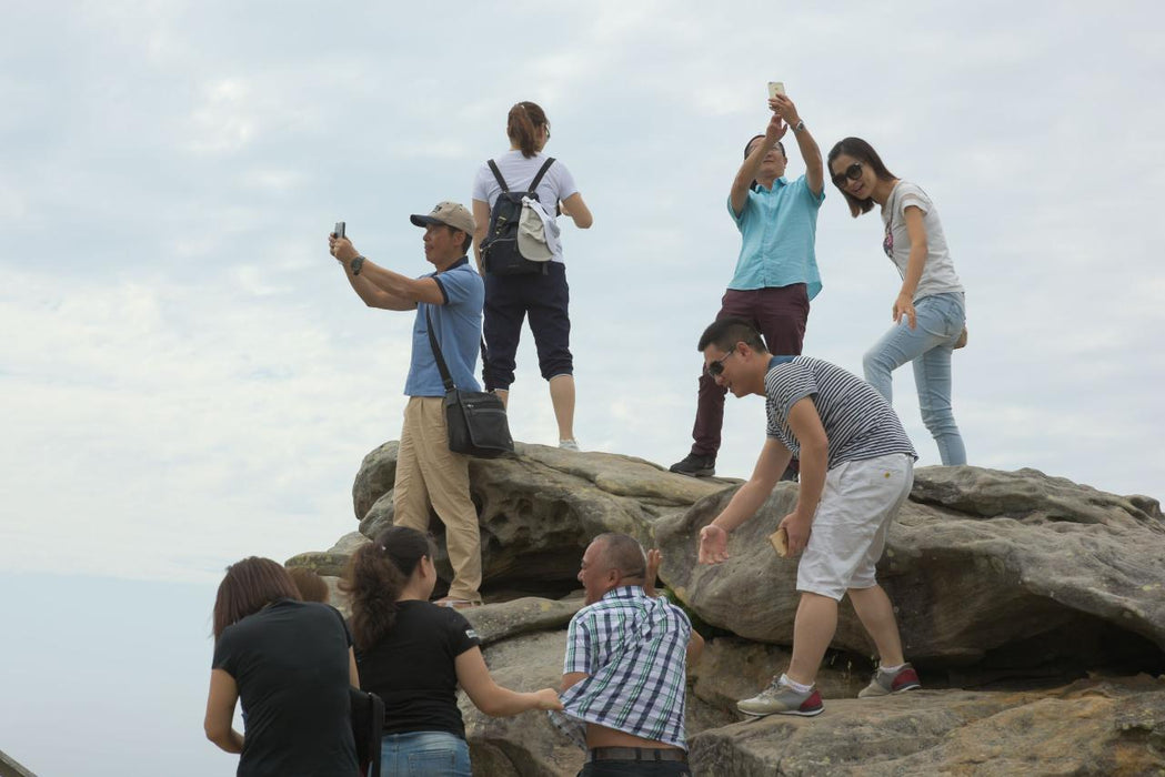 Sydney City Highlights Half Day Afternoon Private Charter Tour