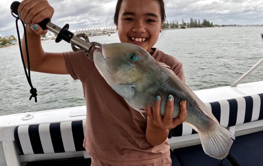 Shared Broadwater Fishing - Pickup From Runaway Bay - We Wander